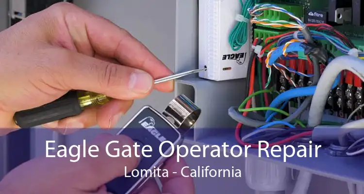 Eagle Gate Operator Repair Lomita - California