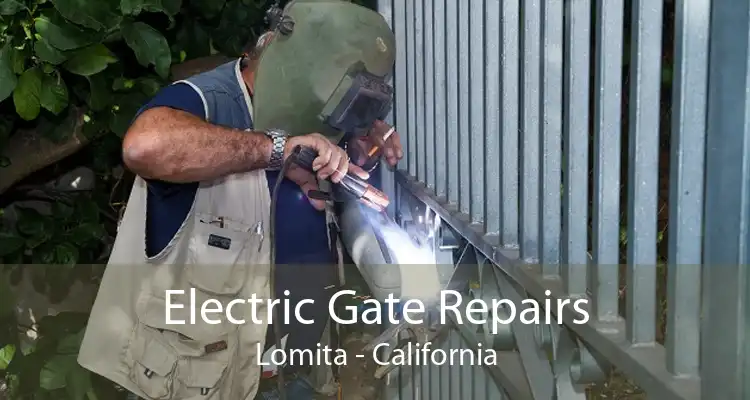 Electric Gate Repairs Lomita - California