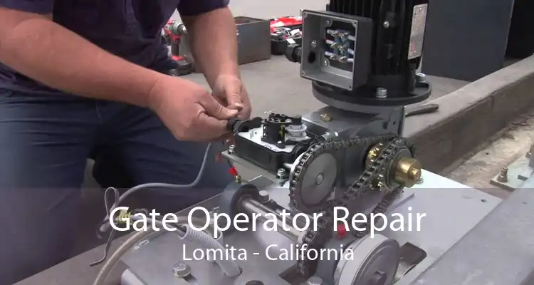 Gate Operator Repair Lomita - California