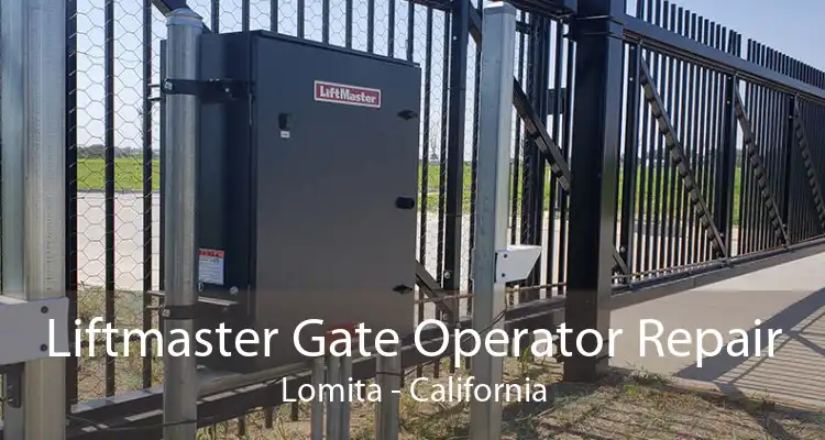 Liftmaster Gate Operator Repair Lomita - California