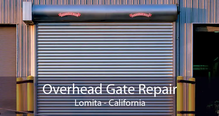 Overhead Gate Repair Lomita - California