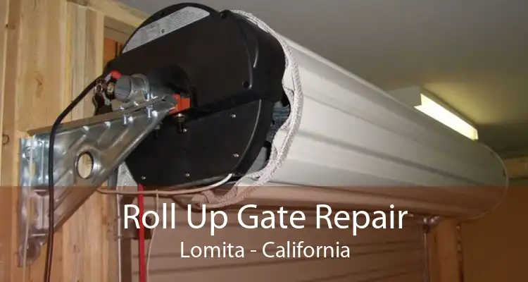 Roll Up Gate Repair Lomita - California